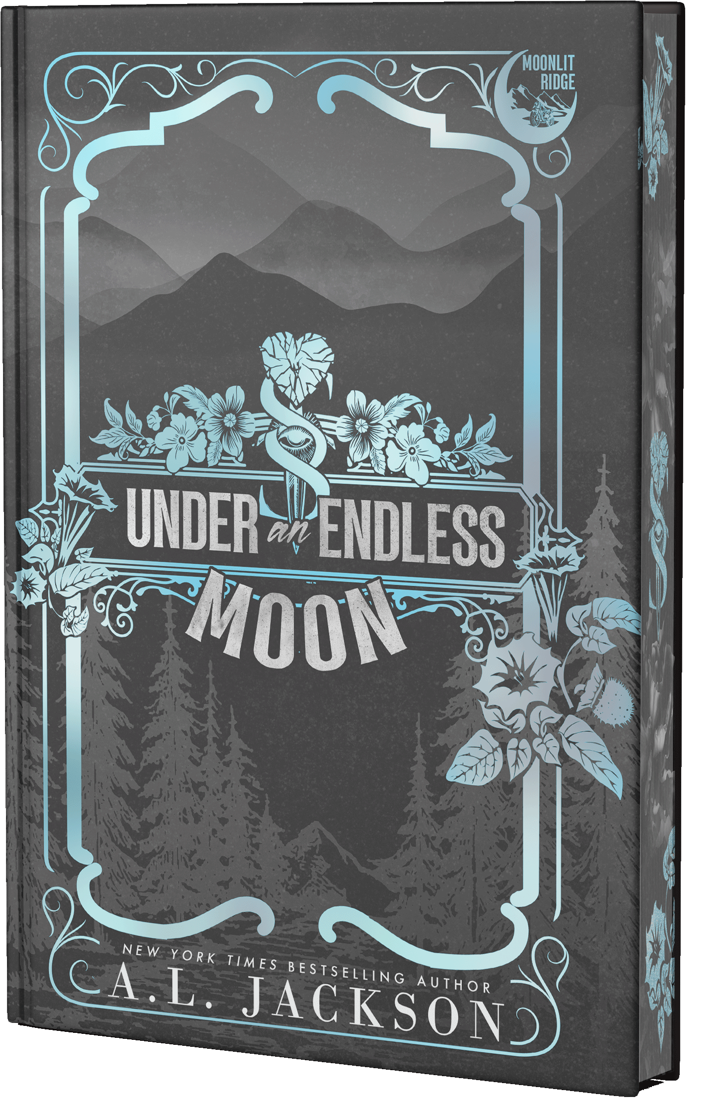 Under an Endless Moon Paperbacks & Hardbacks